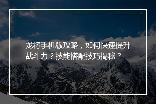 龙将手机版攻略，如何快速提升战斗力？技能搭配技巧揭秘？