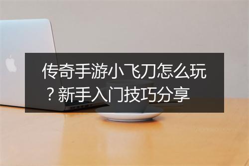 传奇手游小飞刀怎么玩？新手入门技巧分享