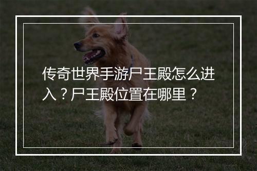 传奇世界手游尸王殿怎么进入？尸王殿位置在哪里？
