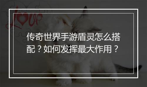 传奇世界手游盾灵怎么搭配？如何发挥最大作用？