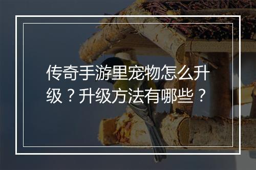 传奇手游里宠物怎么升级？升级方法有哪些？