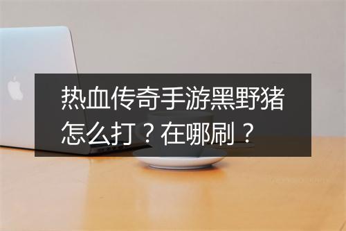 热血传奇手游黑野猪怎么打？在哪刷？