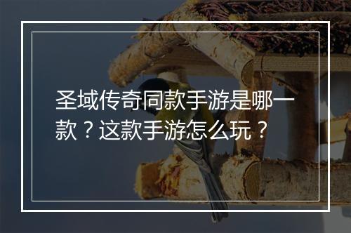 圣域传奇同款手游是哪一款？这款手游怎么玩？