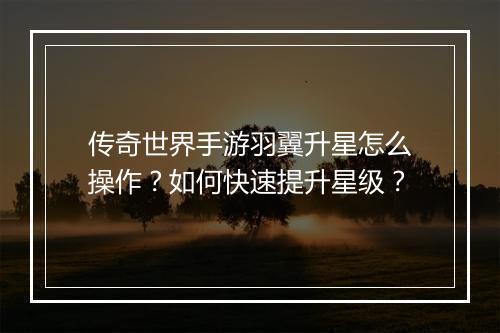 传奇世界手游羽翼升星怎么操作?如何快速提升星级?
