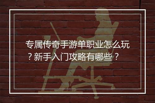 专属传奇手游单职业怎么玩？新手入门攻略有哪些？