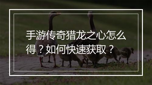 手游传奇猎龙之心怎么得？如何快速获取？