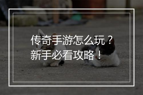 传奇手游怎么玩？新手必看攻略！