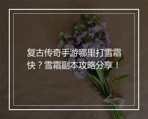 复古传奇手游哪里打雪霜快？雪霜副本攻略分享！