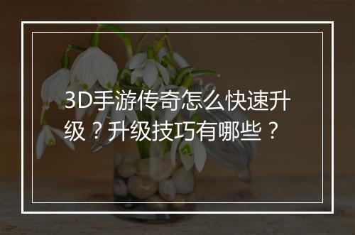 3D手游传奇怎么快速升级？升级技巧有哪些？