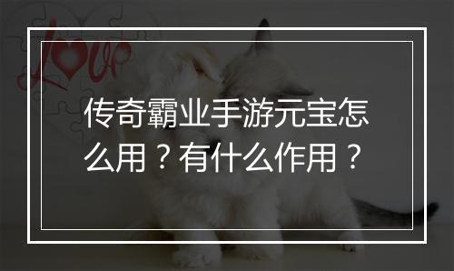 传奇霸业手游元宝怎么用？有什么作用？