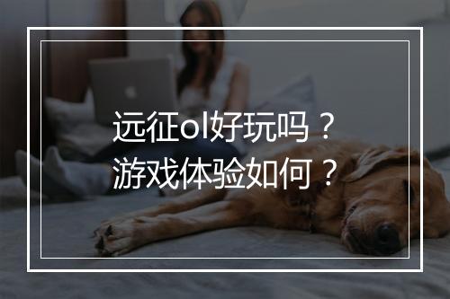 远征ol好玩吗？游戏体验如何？