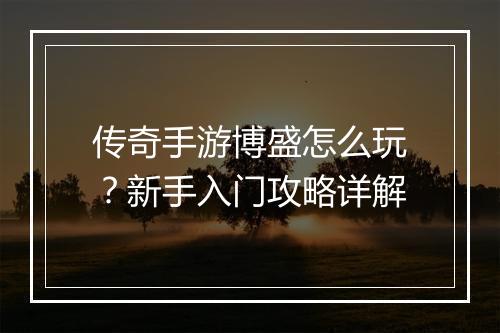 传奇手游博盛怎么玩？新手入门攻略详解