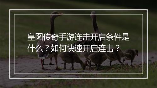 皇图传奇手游连击开启条件是什么？如何快速开启连击？