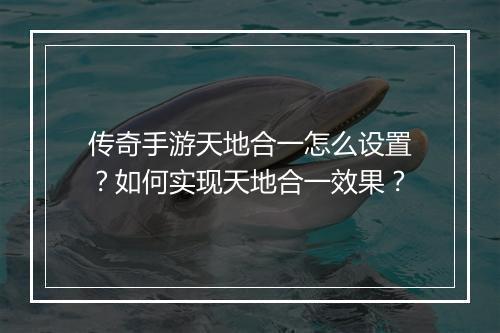 传奇手游天地合一怎么设置？如何实现天地合一效果？