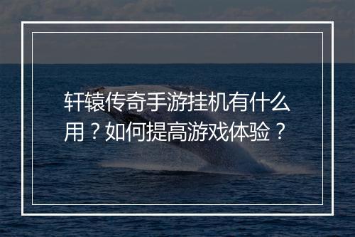 轩辕传奇手游挂机有什么用？如何提高游戏体验？