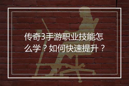 传奇3手游职业技能怎么学？如何快速提升？