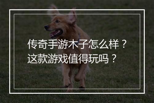 传奇手游木子怎么样？这款游戏值得玩吗？