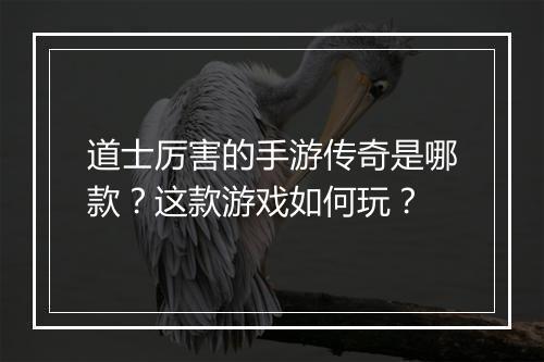 道士厉害的手游传奇是哪款？这款游戏如何玩？