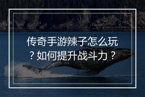 传奇手游辣子怎么玩？如何提升战斗力？