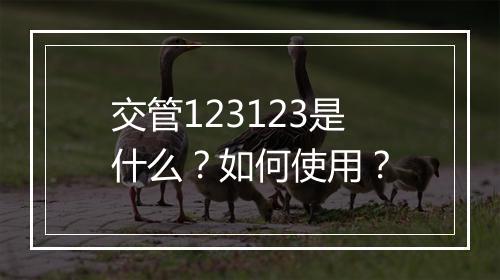 交管123123是什么？如何使用？