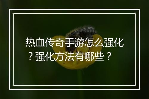热血传奇手游怎么强化？强化方法有哪些？