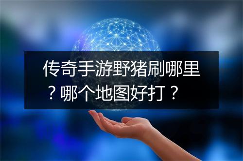 传奇手游野猪刷哪里？哪个地图好打？