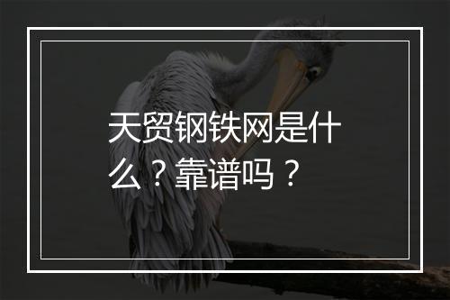 天贸钢铁网是什么？靠谱吗？