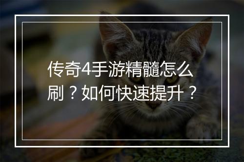 传奇4手游精髓怎么刷？如何快速提升？