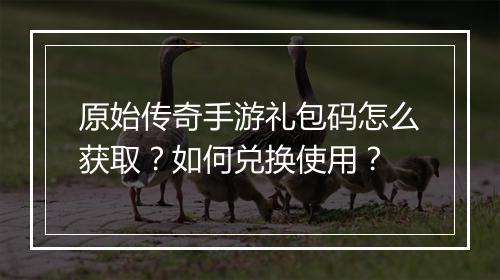 原始传奇手游礼包码怎么获取？如何兑换使用？