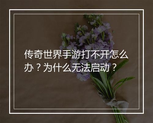 传奇世界手游打不开怎么办？为什么无法启动？