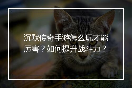沉默传奇手游怎么玩才能厉害？如何提升战斗力？