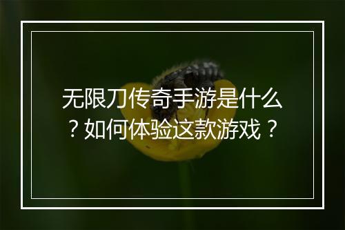 无限刀传奇手游是什么？如何体验这款游戏？