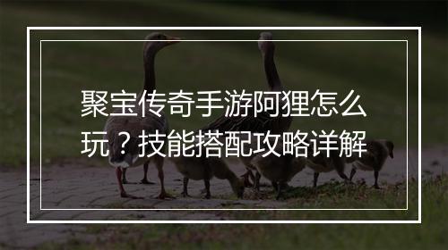聚宝传奇手游阿狸怎么玩？技能搭配攻略详解