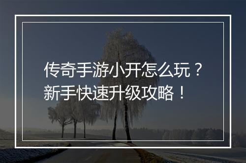 传奇手游小开怎么玩？新手快速升级攻略！