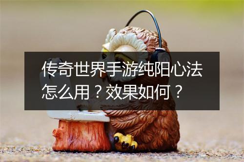 传奇世界手游纯阳心法怎么用？效果如何？
