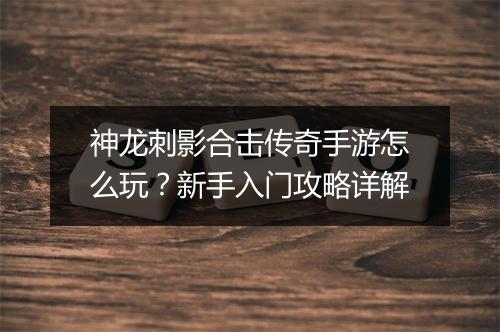 神龙刺影合击传奇手游怎么玩？新手入门攻略详解