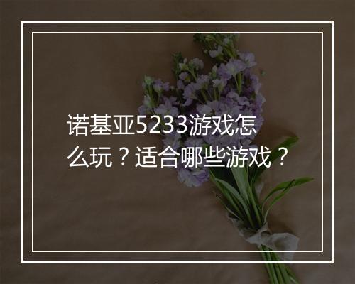 诺基亚5233游戏怎么玩？适合哪些游戏？