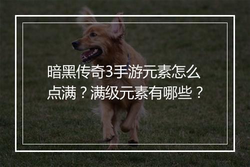 暗黑传奇3手游元素怎么点满？满级元素有哪些？