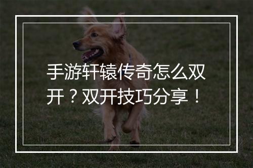 手游轩辕传奇怎么双开？双开技巧分享！