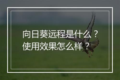 向日葵远程是什么？使用效果怎么样？