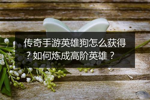 传奇手游英雄狗怎么获得？如何炼成高阶英雄？