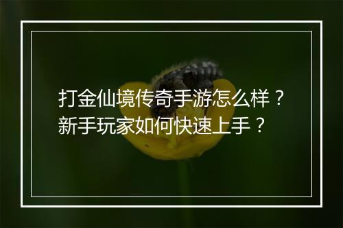 打金仙境传奇手游怎么样？新手玩家如何快速上手？