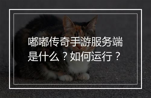 嘟嘟传奇手游服务端是什么？如何运行？