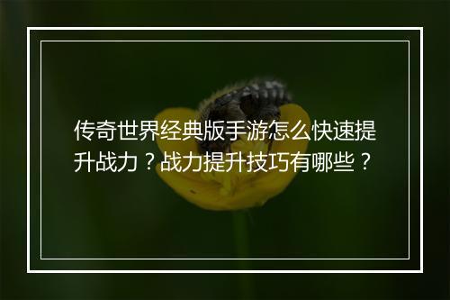 传奇世界经典版手游怎么快速提升战力？战力提升技巧有哪些？