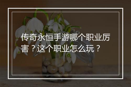 传奇永恒手游哪个职业厉害？这个职业怎么玩？