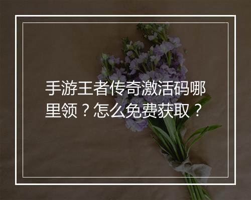 手游王者传奇激活码哪里领？怎么免费获取？
