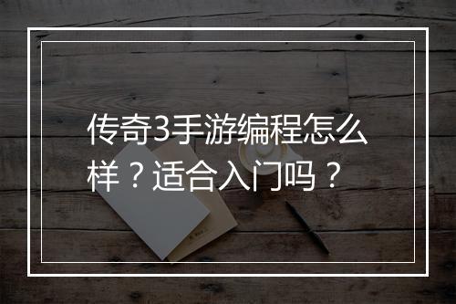 传奇3手游编程怎么样？适合入门吗？