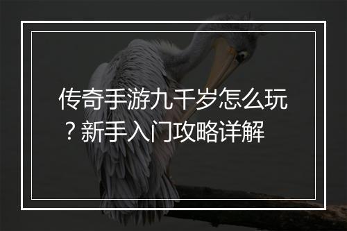 传奇手游九千岁怎么玩？新手入门攻略详解