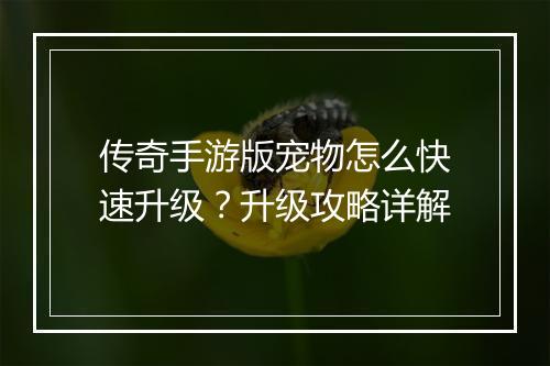 传奇手游版宠物怎么快速升级？升级攻略详解