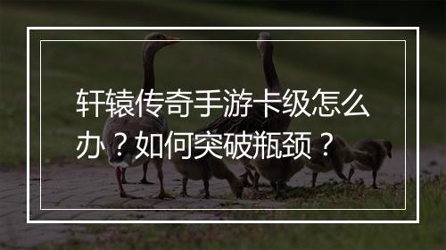 轩辕传奇手游卡级怎么办？如何突破瓶颈？